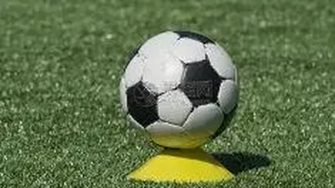 实践项目中的面向对象多态应用策略