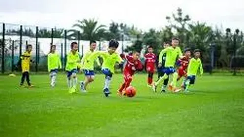 迭戈-戈麦斯在舍伍德事件中应受红牌处罚，非球方向冲撞