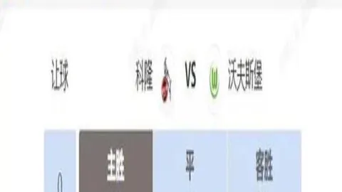 伊朗提前两轮夺得世界杯入场券，成为第三支晋级球队
